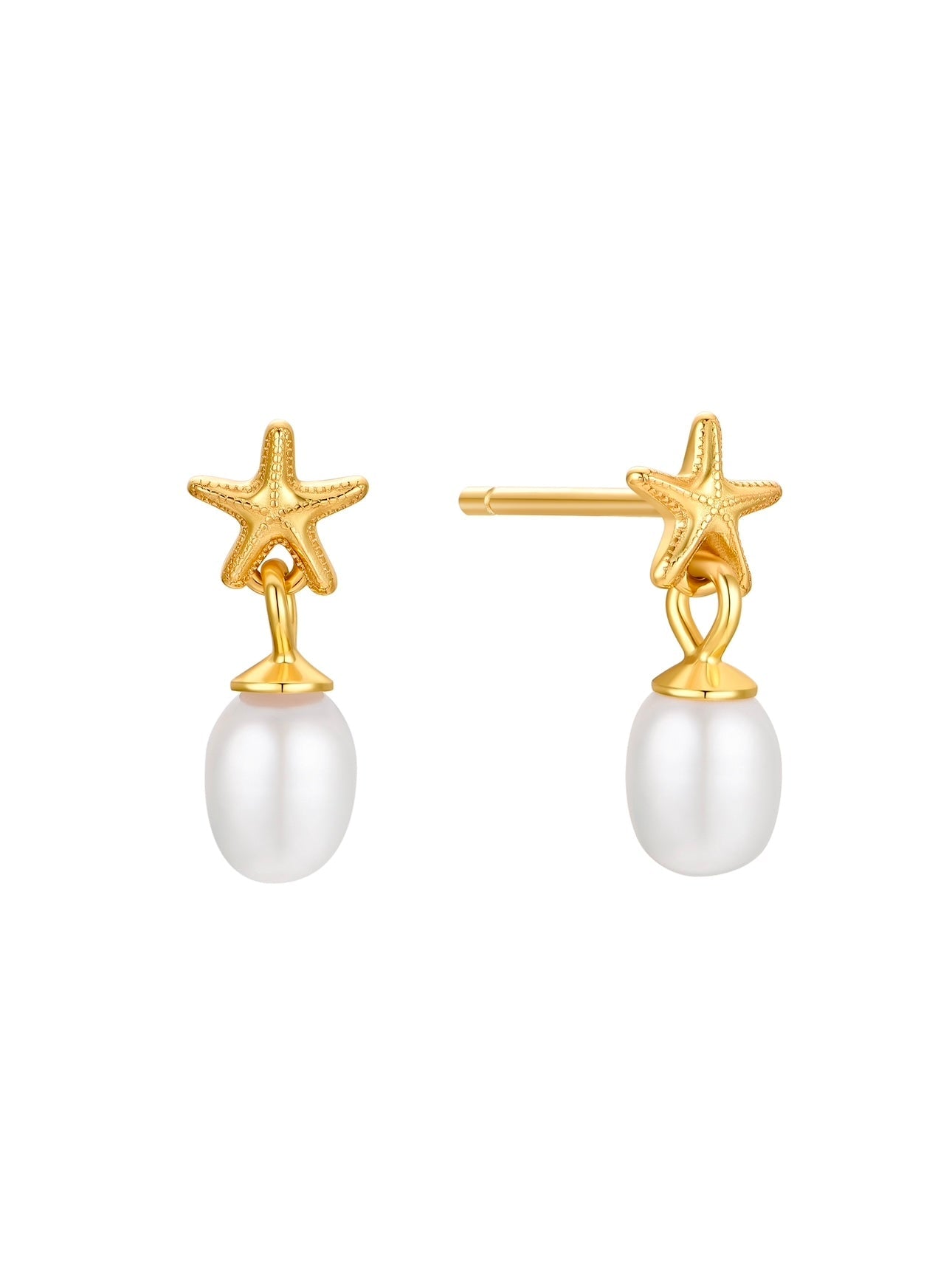 Oceane Star Earrings in 18k Gold Vermeil